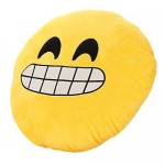 Close Up Smiley Plush Cushion with a Big Smile